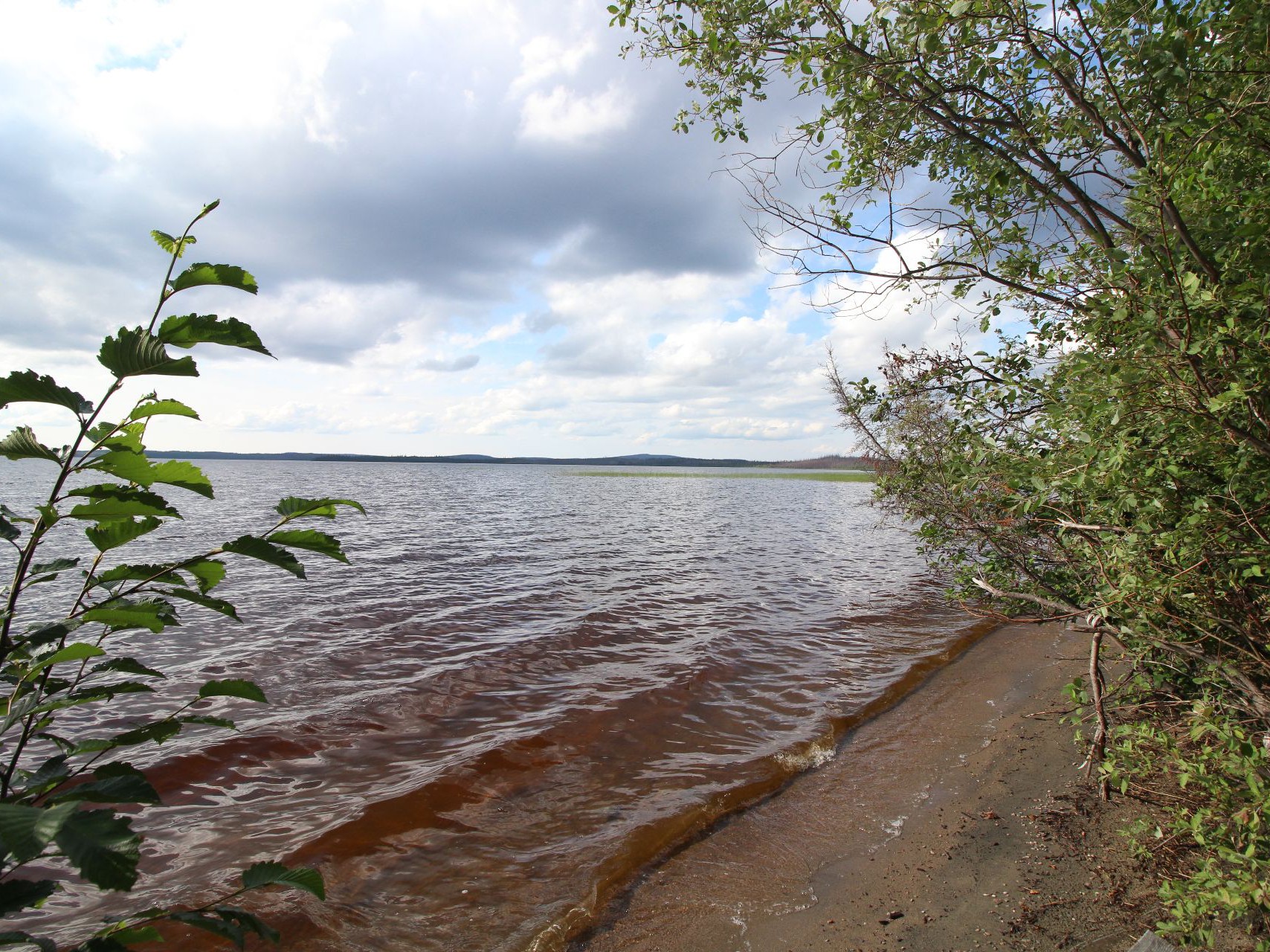 Bord de l'eau