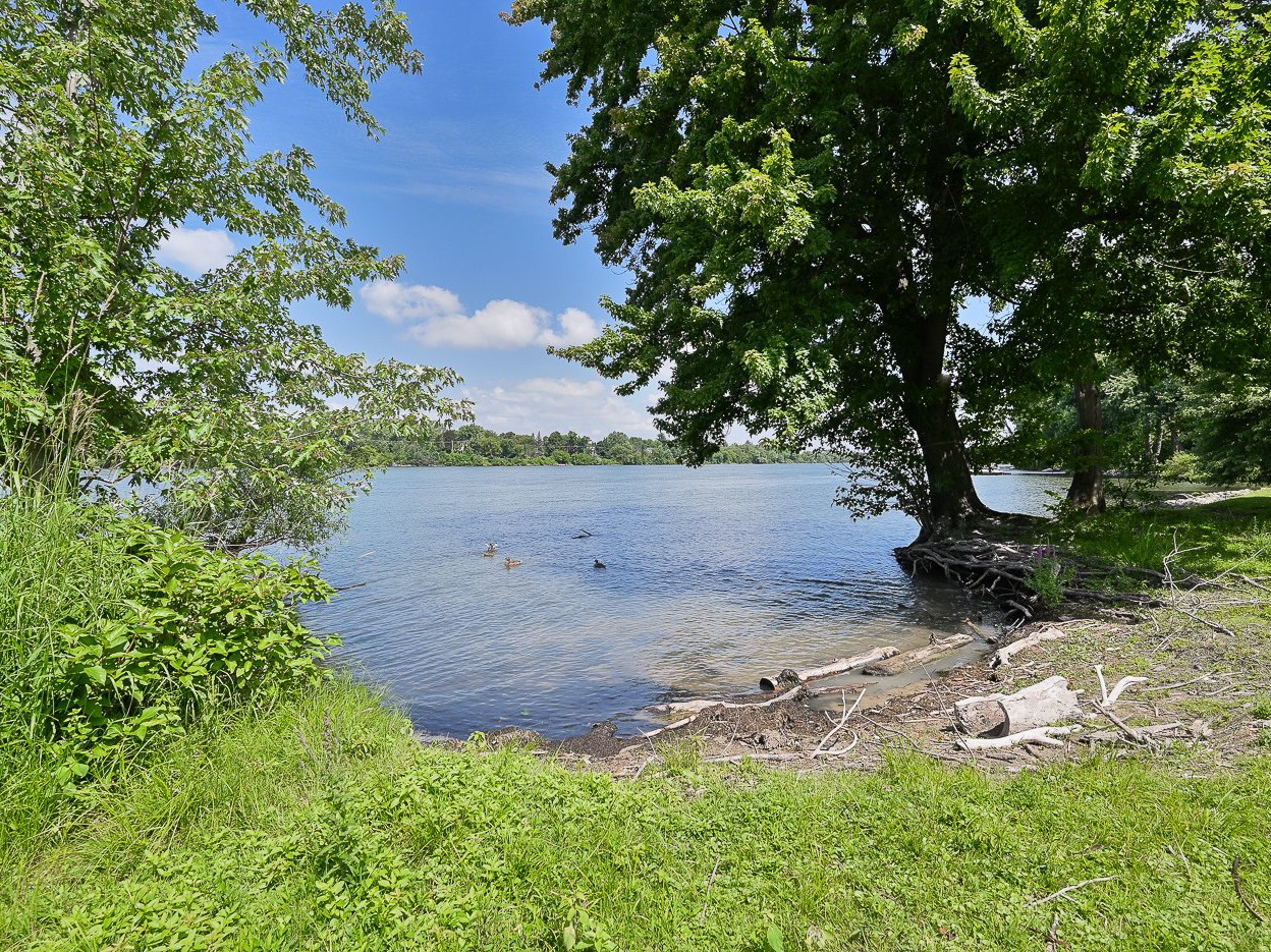 Vue sur l'eau