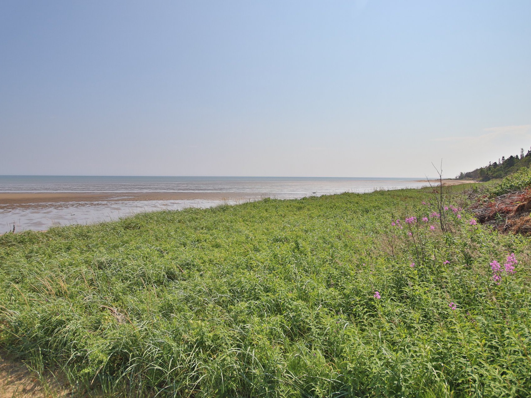 Vue sur l'eau