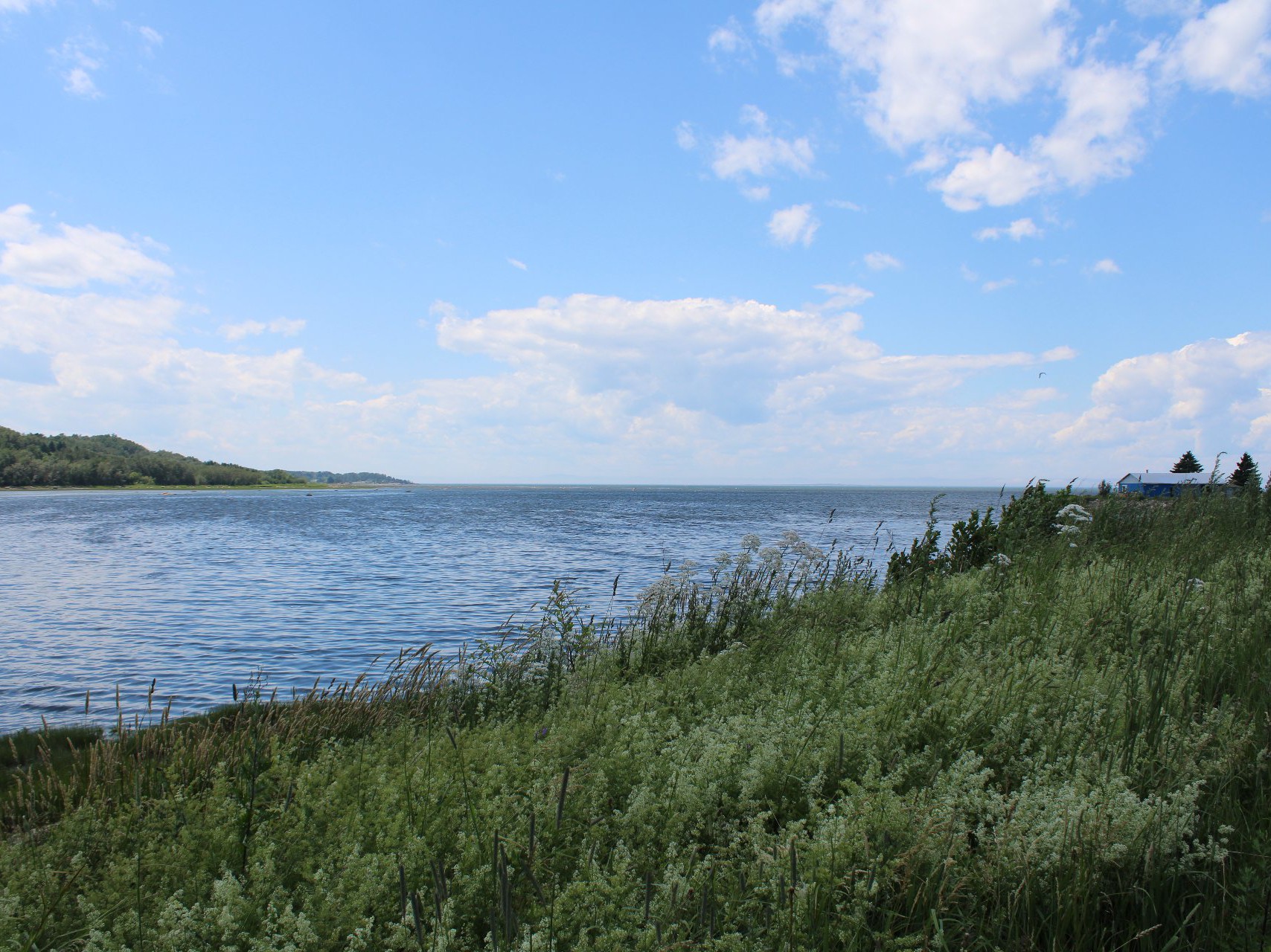 Vue sur l'eau