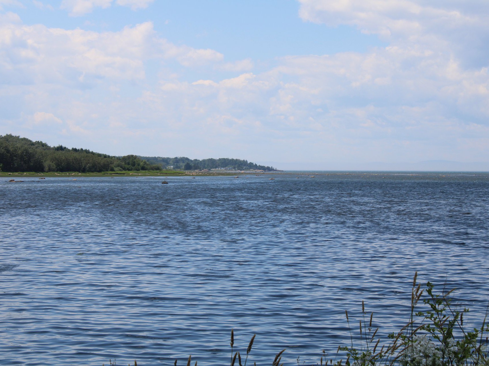 Vue sur l'eau