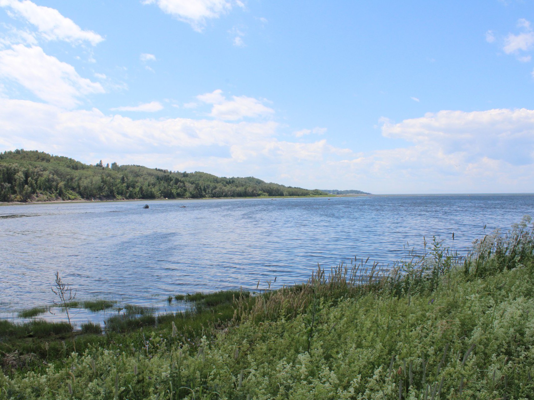 Vue sur l'eau