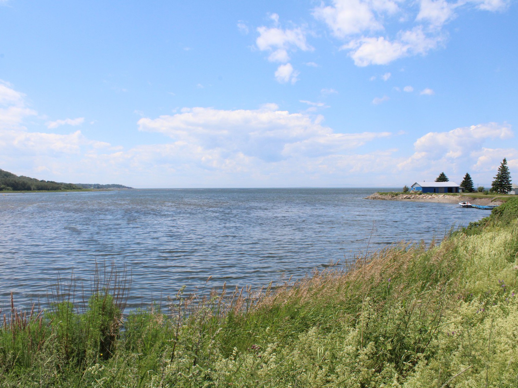 Vue sur l'eau