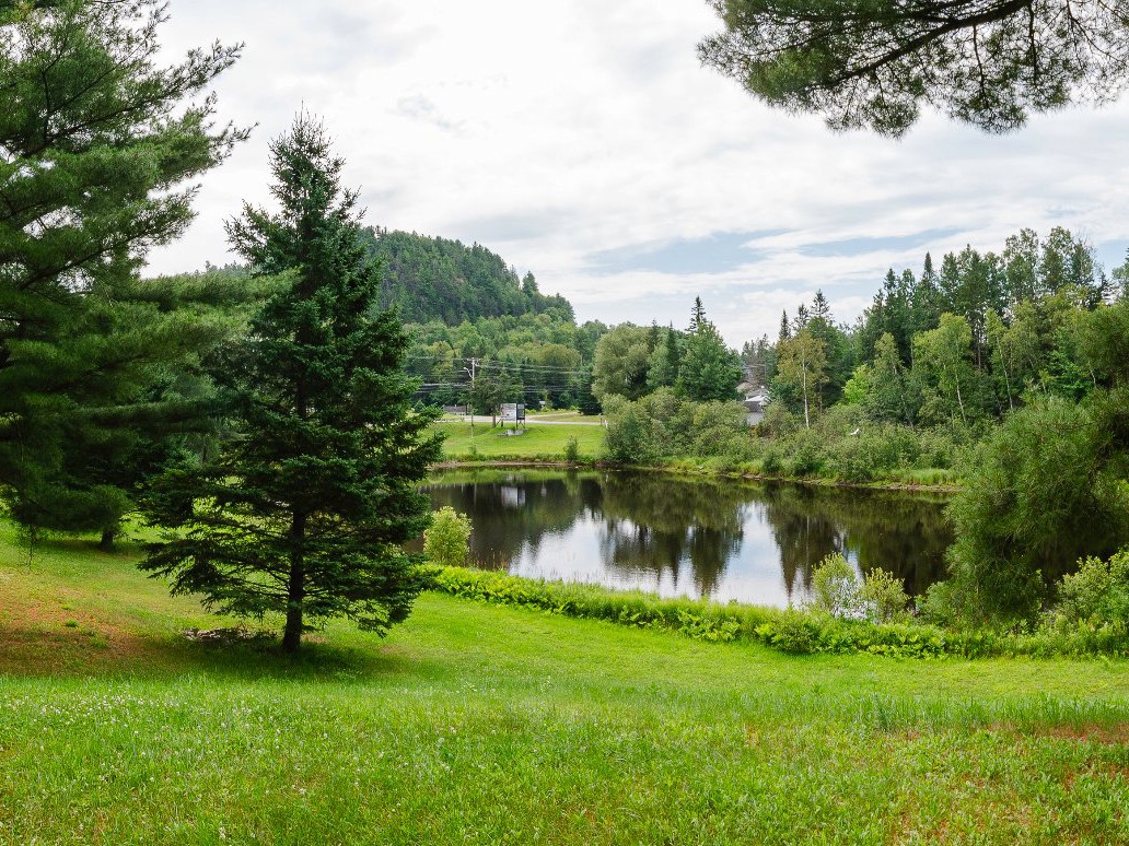 Partie du lot en bordure du Lac Quintal