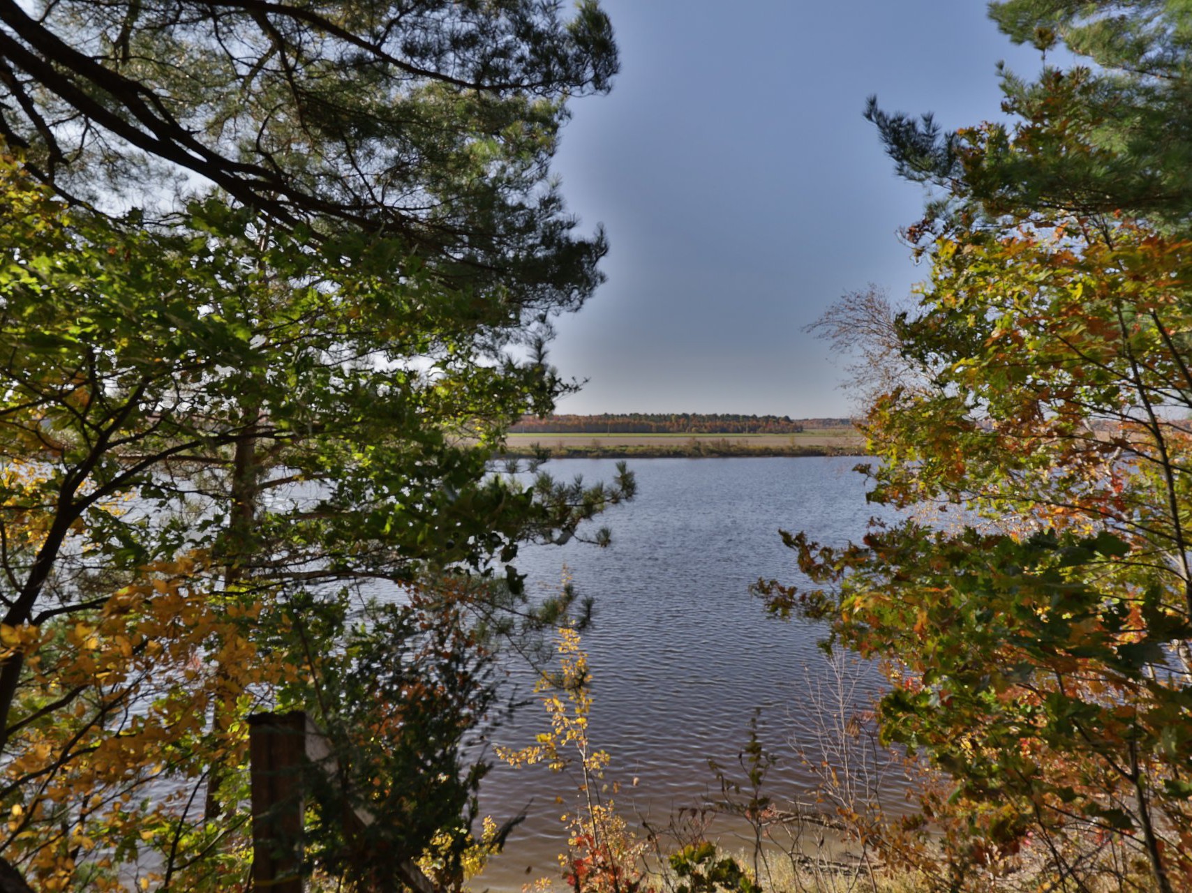 Vue sur l'eau