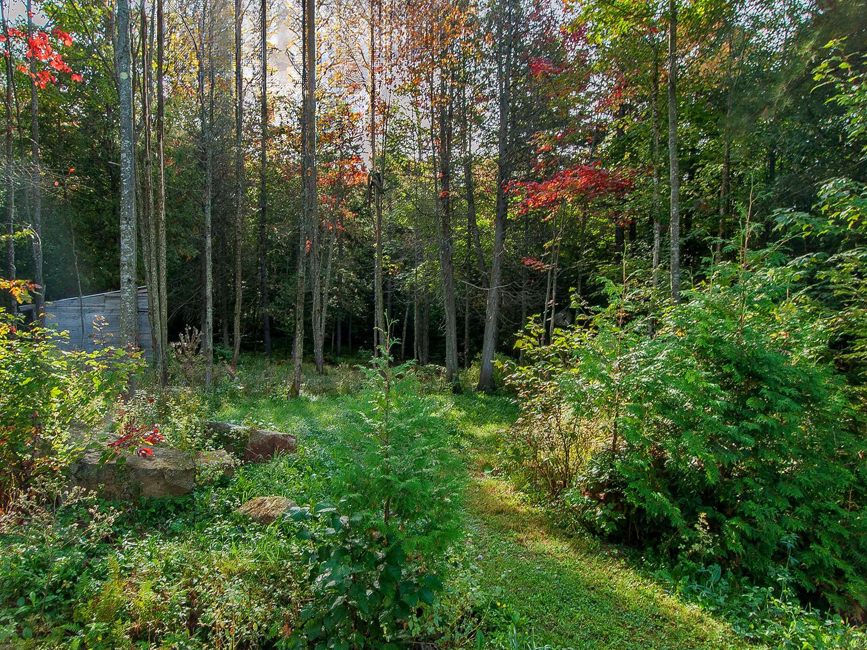Terre/Terrain