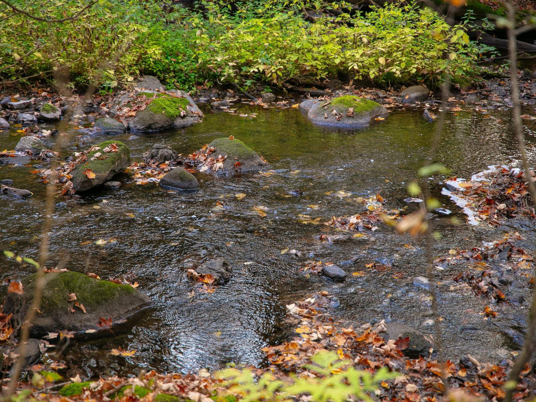 Bord de l'eau