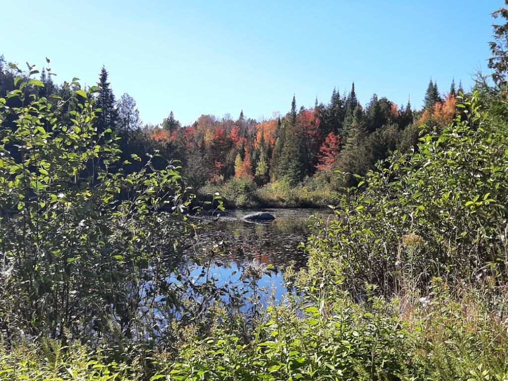 Vue sur l'eau