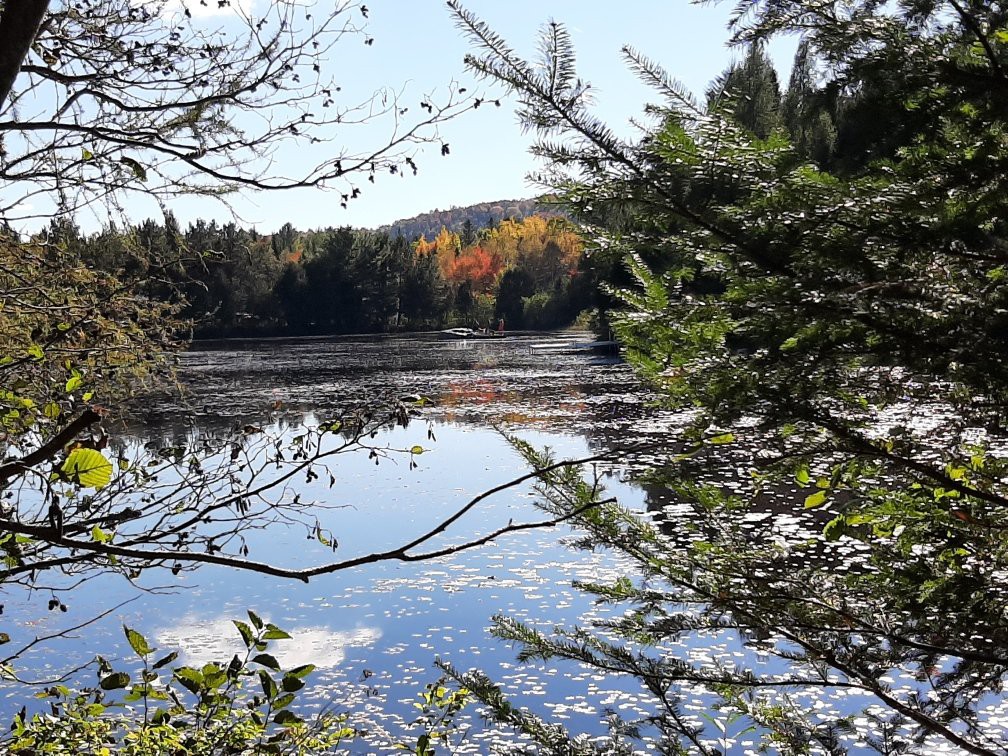 Vue sur l'eau