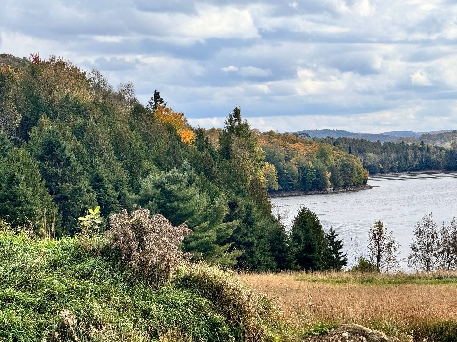 Vue sur l'eau