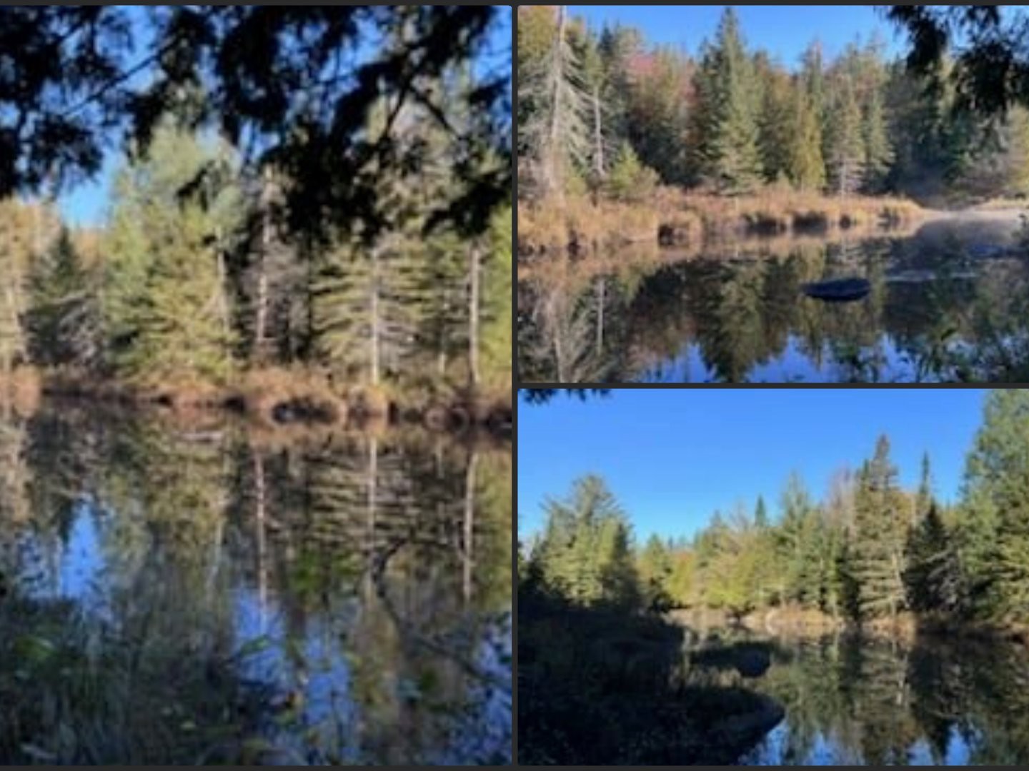 Photos Rivière Jean-Venne gracieuseté d'un voisin.