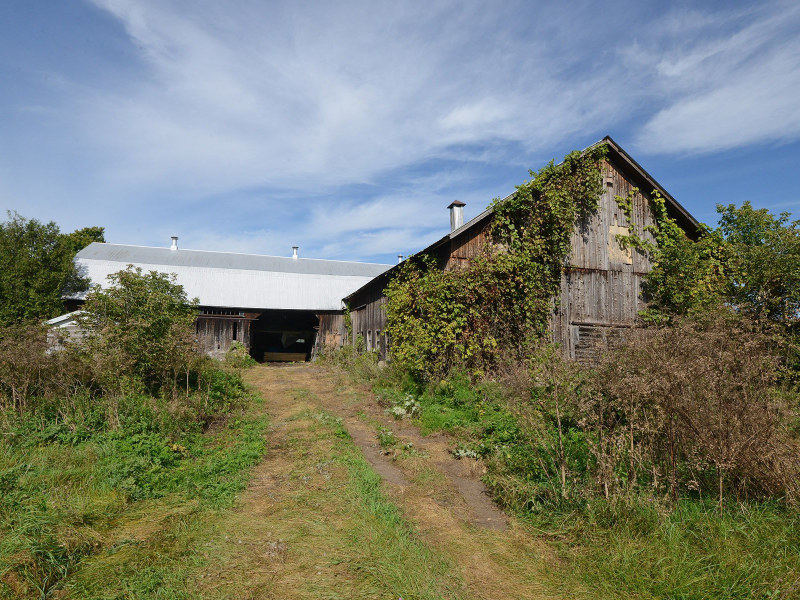 Barn