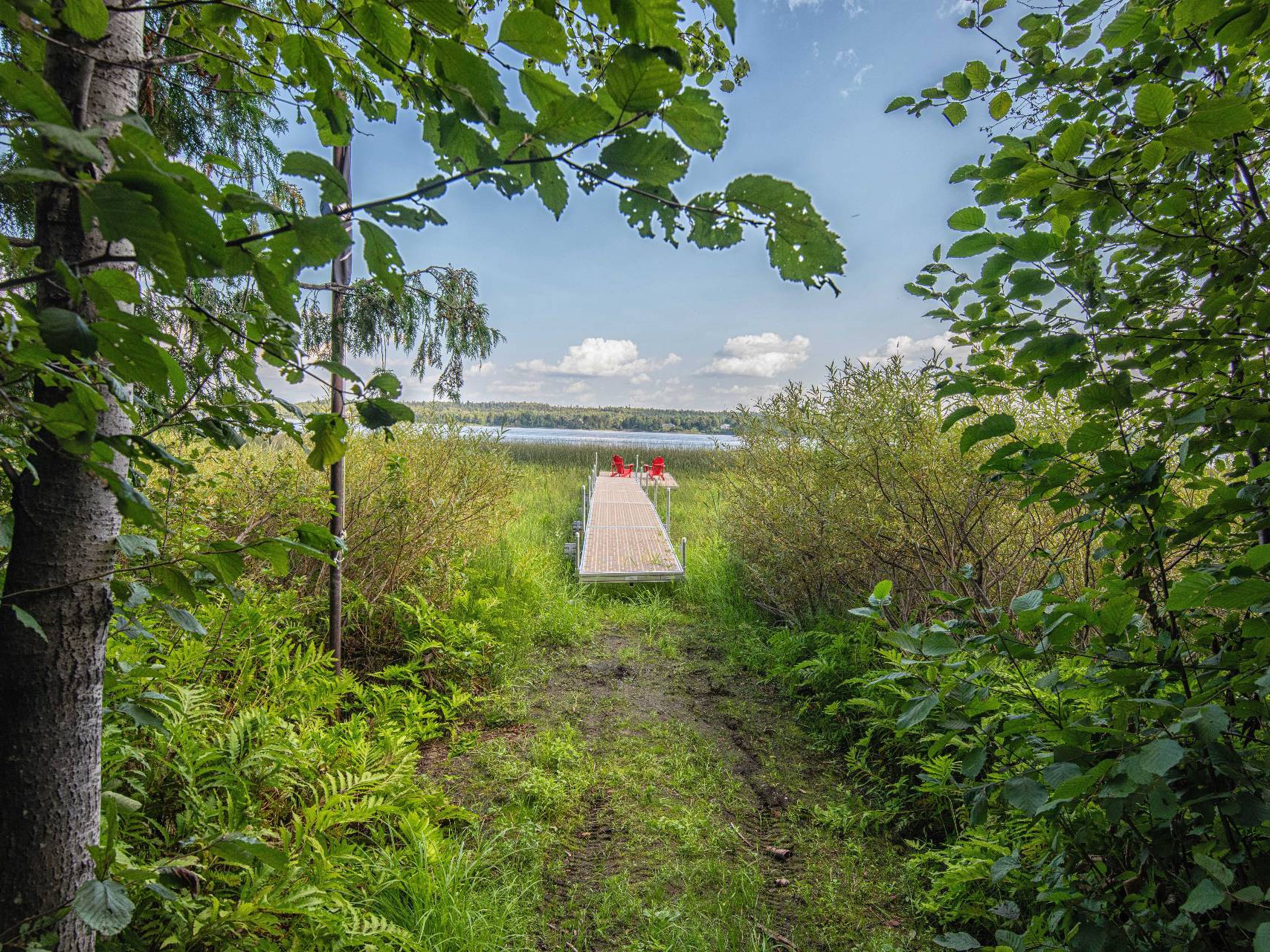 Bord de l'eau