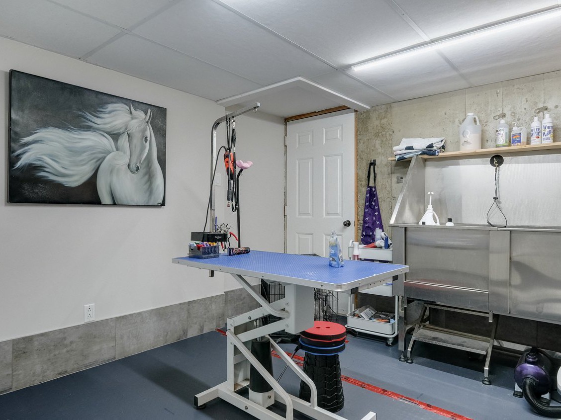Salle de toilettage