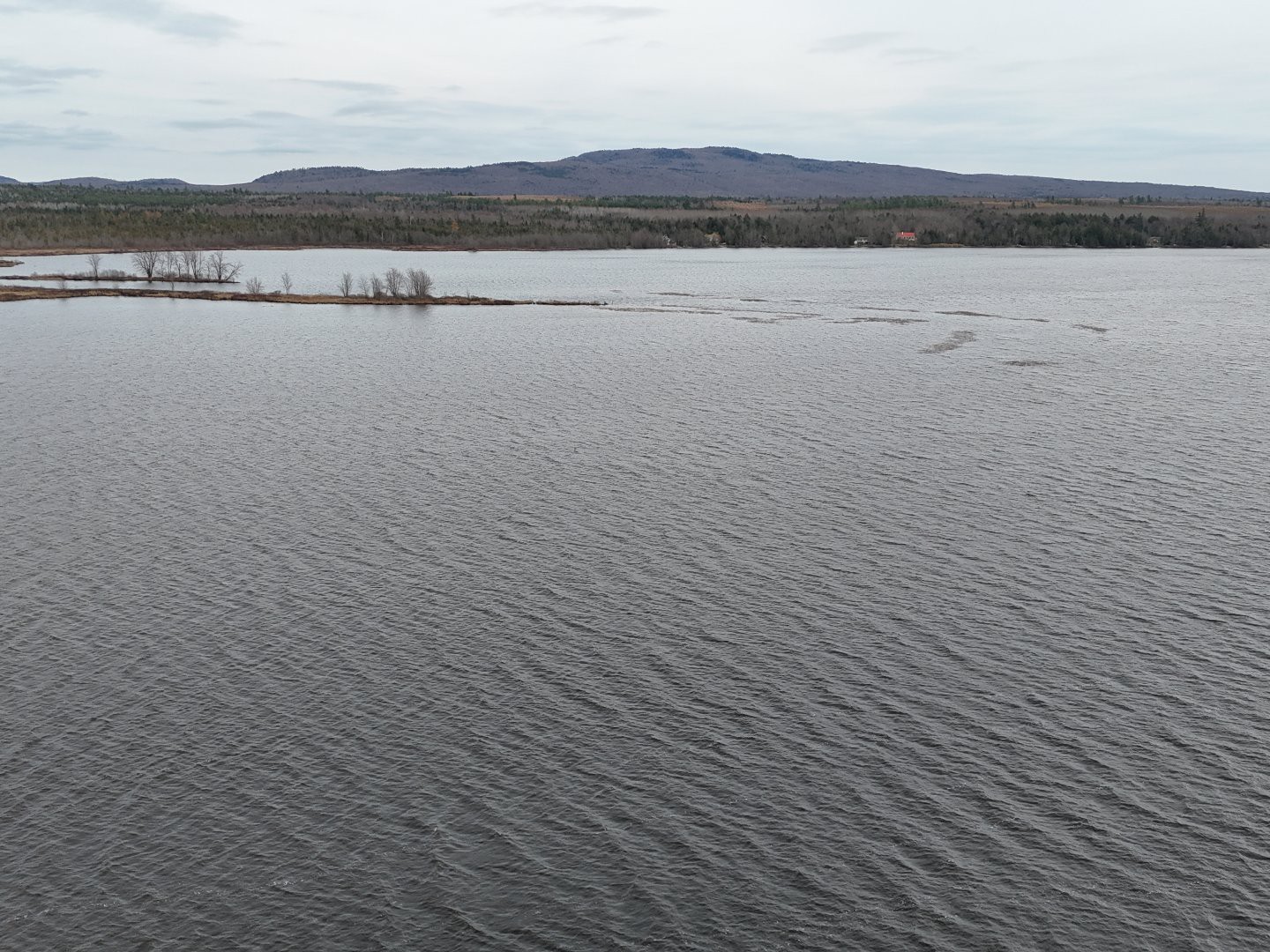 Vue sur l'eau