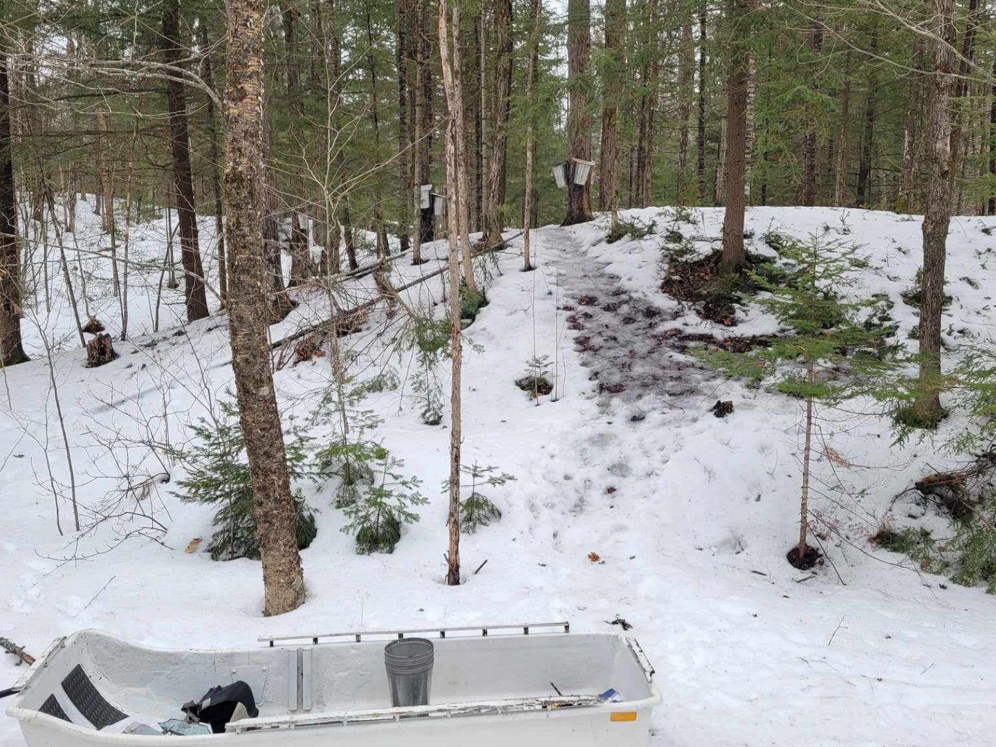 sentiers pour cabane à sucre