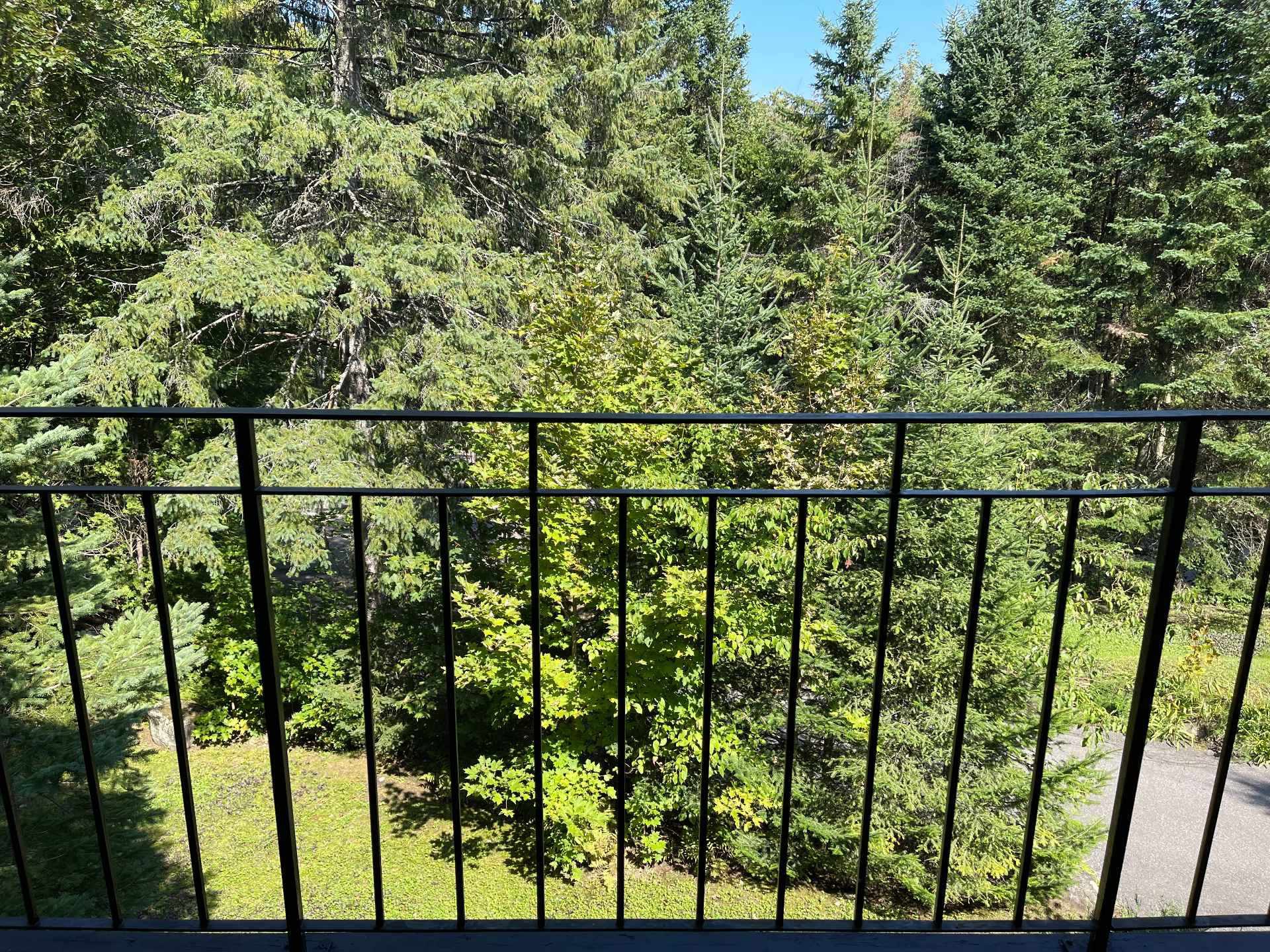 vue du balcon de la chambre des maîtres