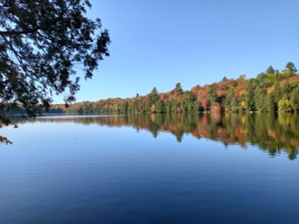 Bord de l'eau