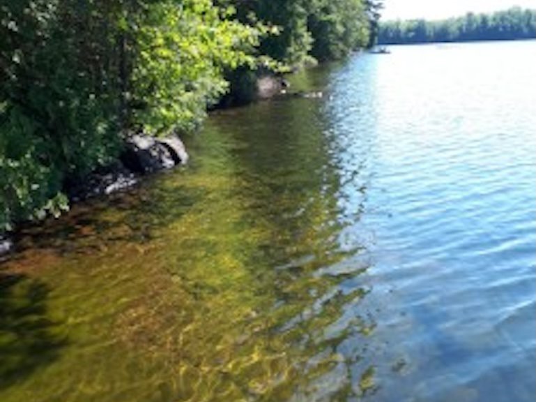 Bord de l'eau
