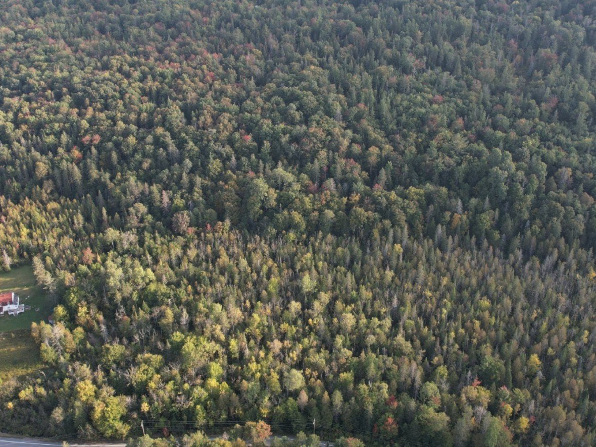 Aerial photo