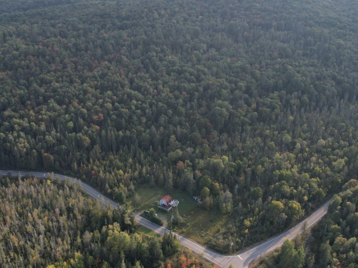Aerial photo