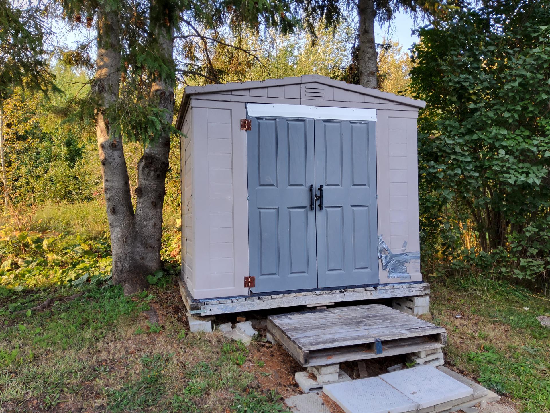 Shed