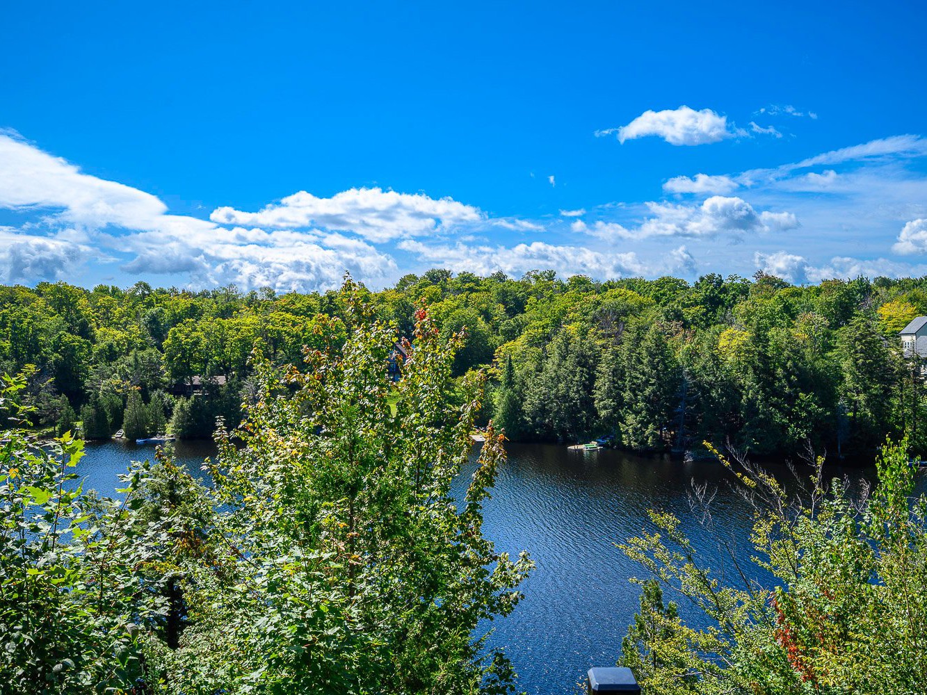 Vue sur l'eau