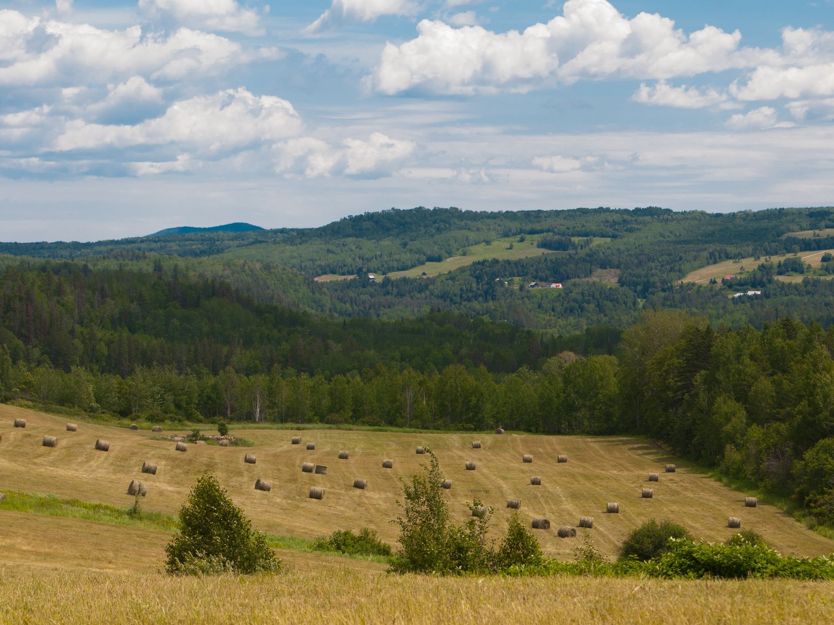 Vue d'ensemble