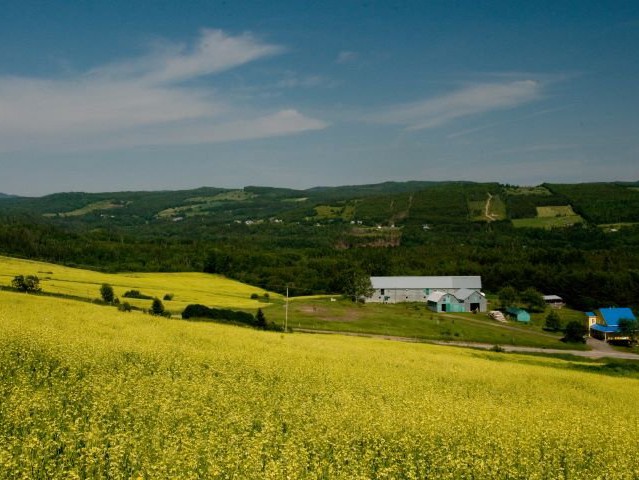 Vue d'ensemble