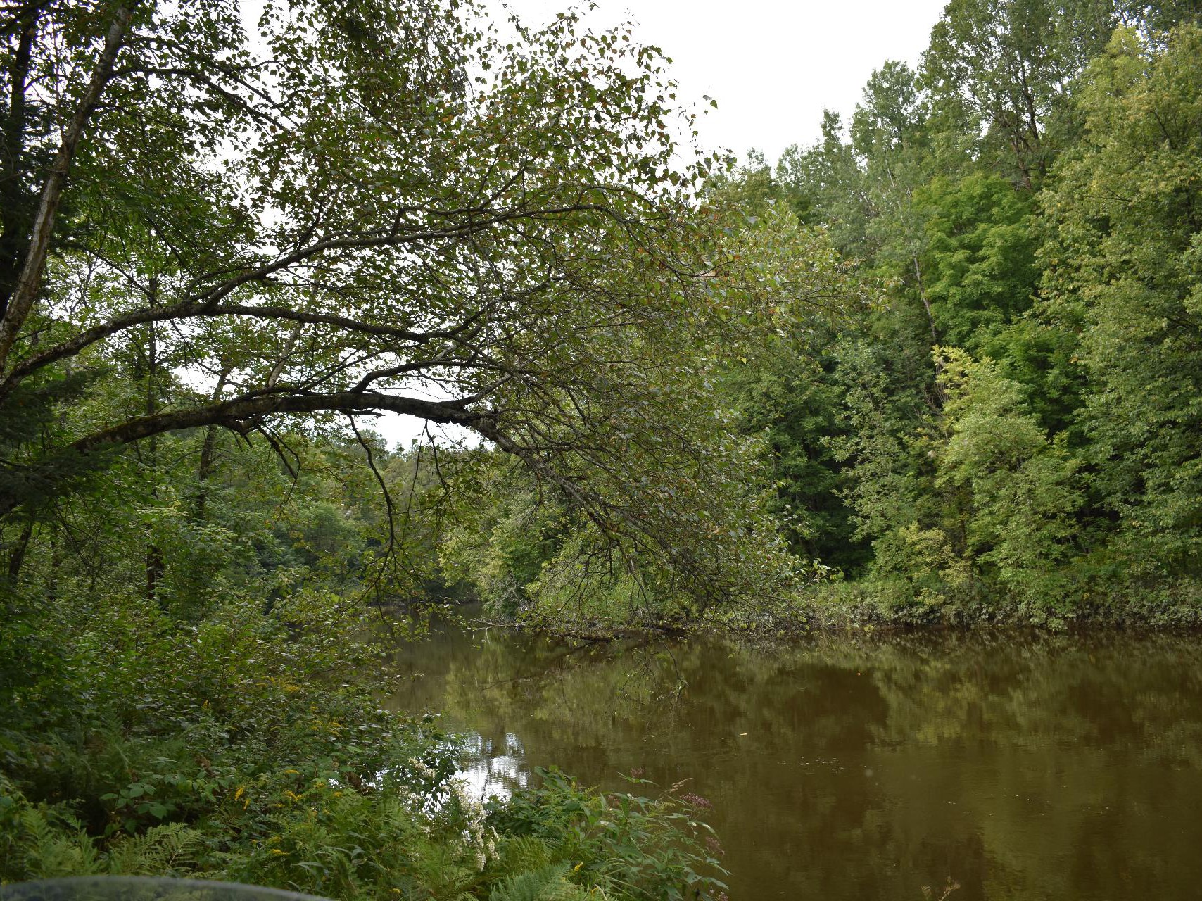 Accès au plan d'eau