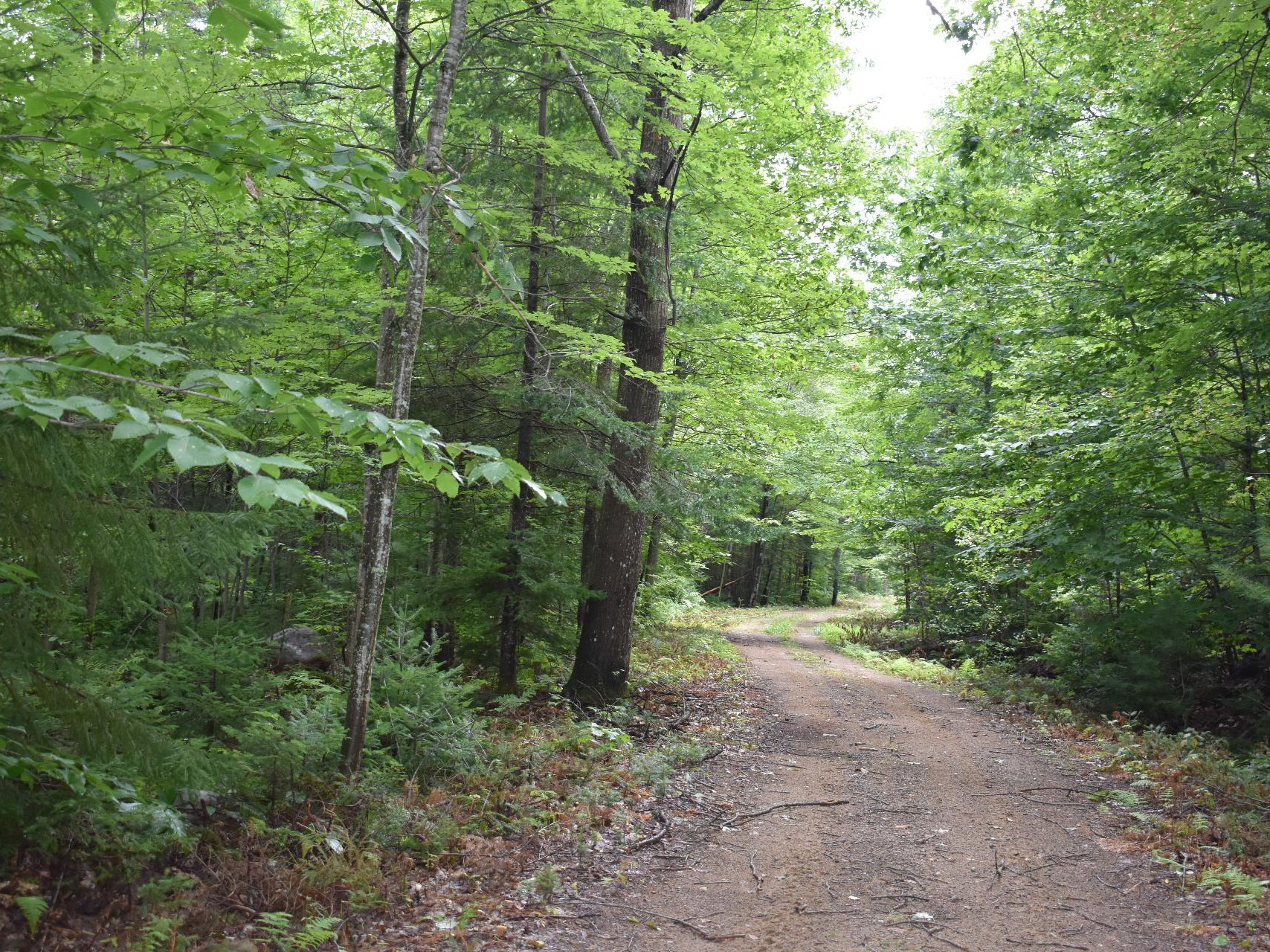 Terre à bois