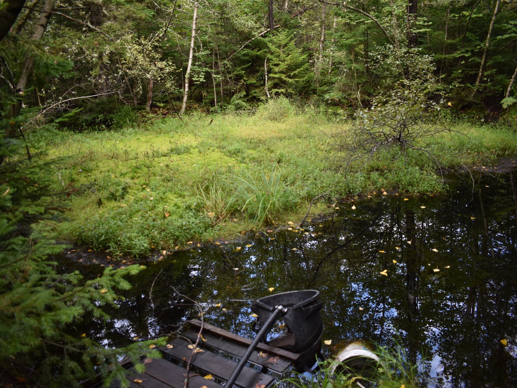 Accès au plan d'eau