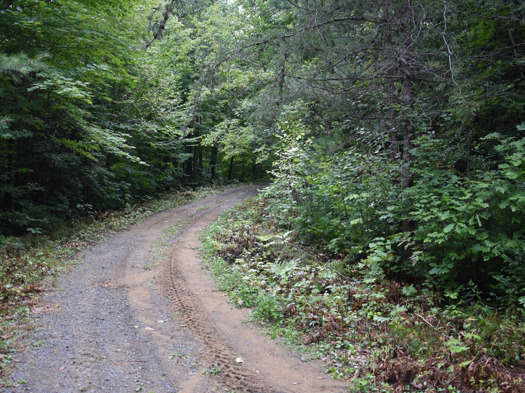 Terre à bois