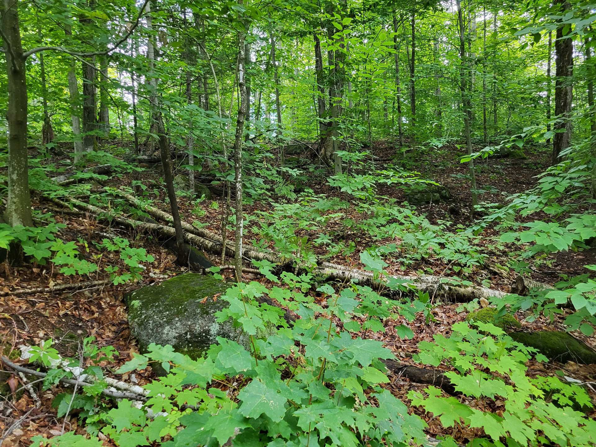 Chemin à construire