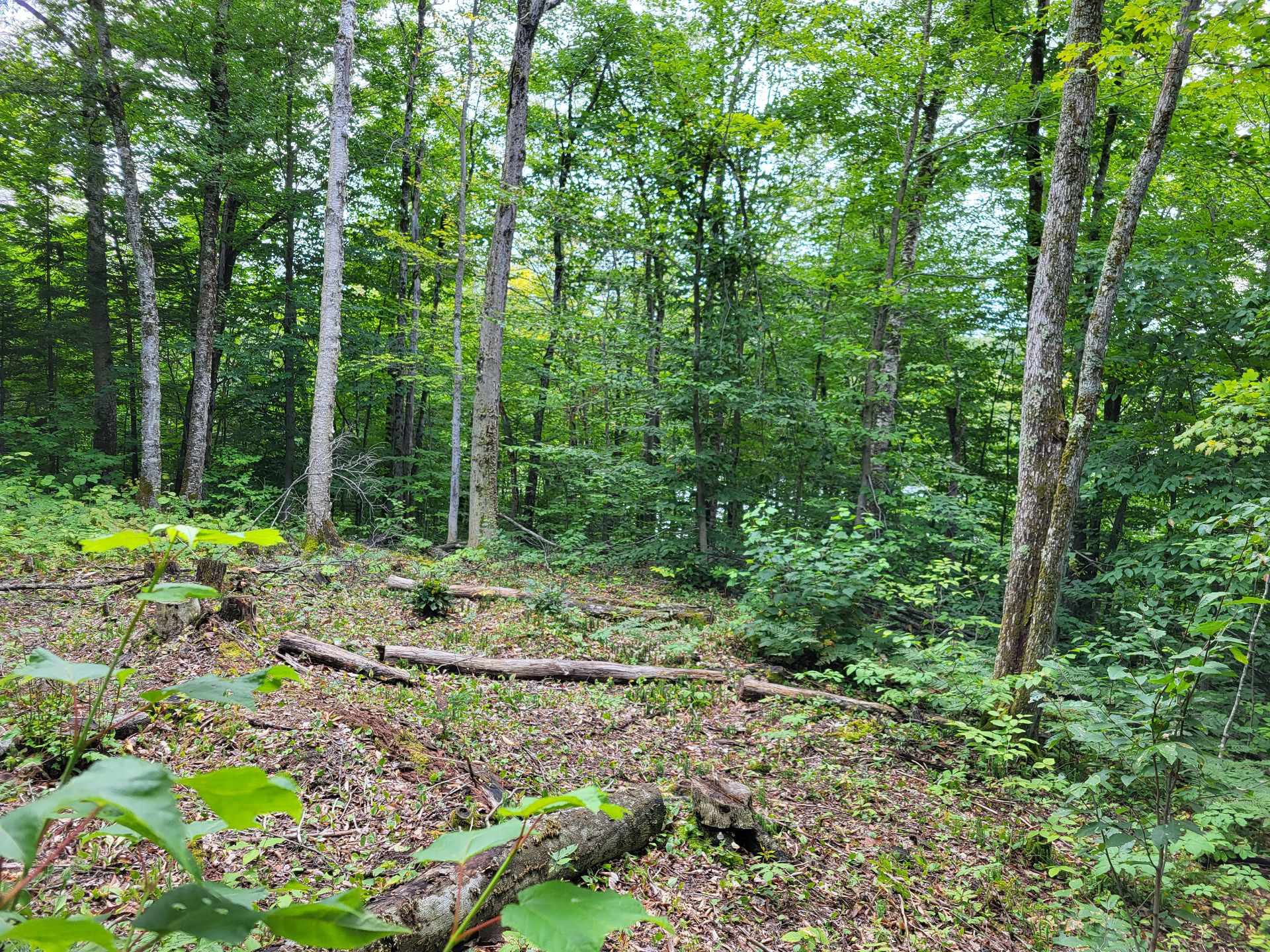 Plateau avec vus sur le Lac-Clair