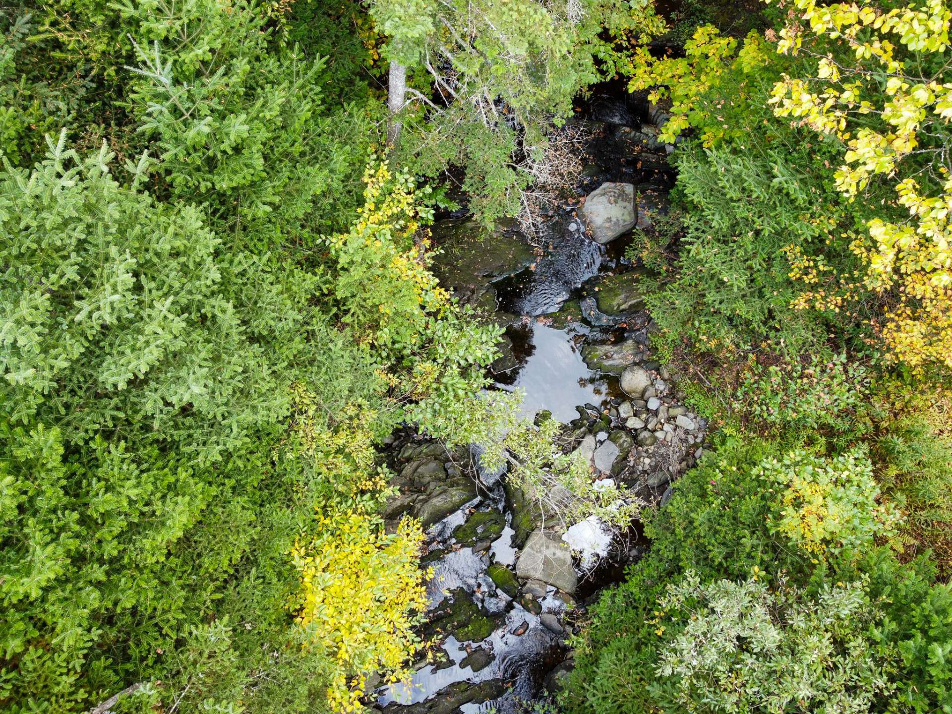 Vue sur l'eau