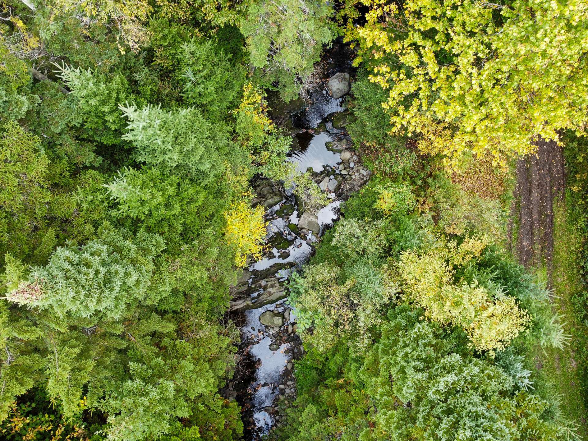 Vue sur l'eau