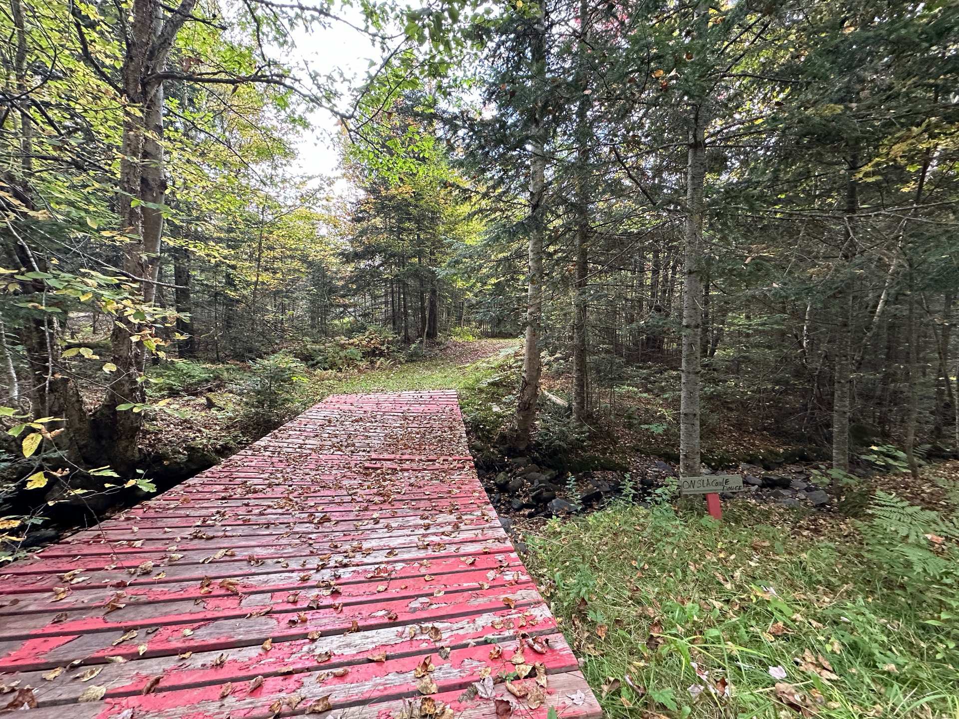 Terre à bois