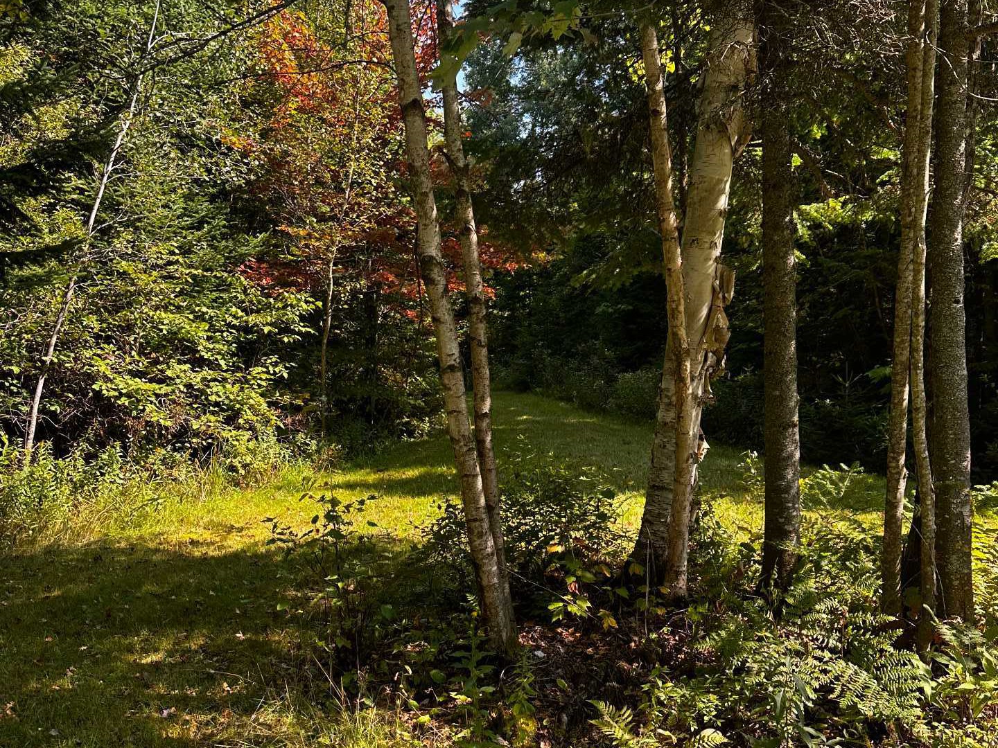 Terre à bois