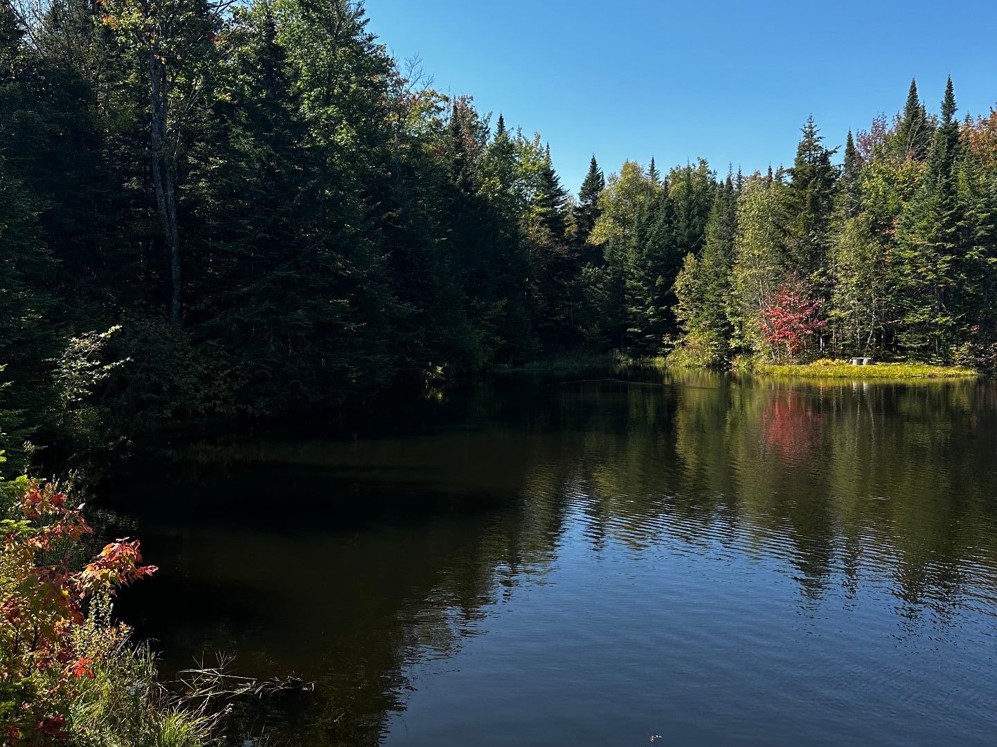 Vue sur l'eau