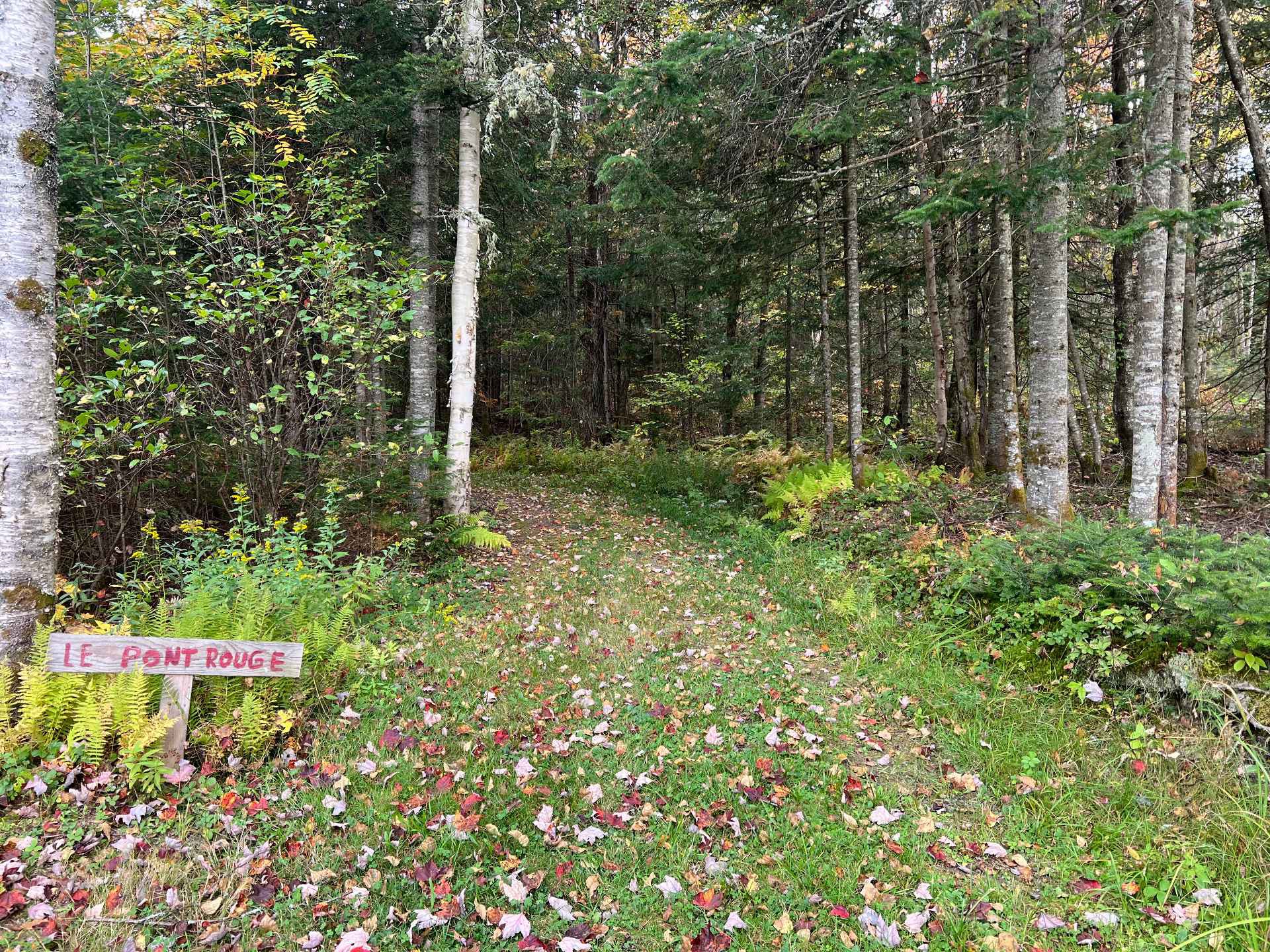 Terre à bois