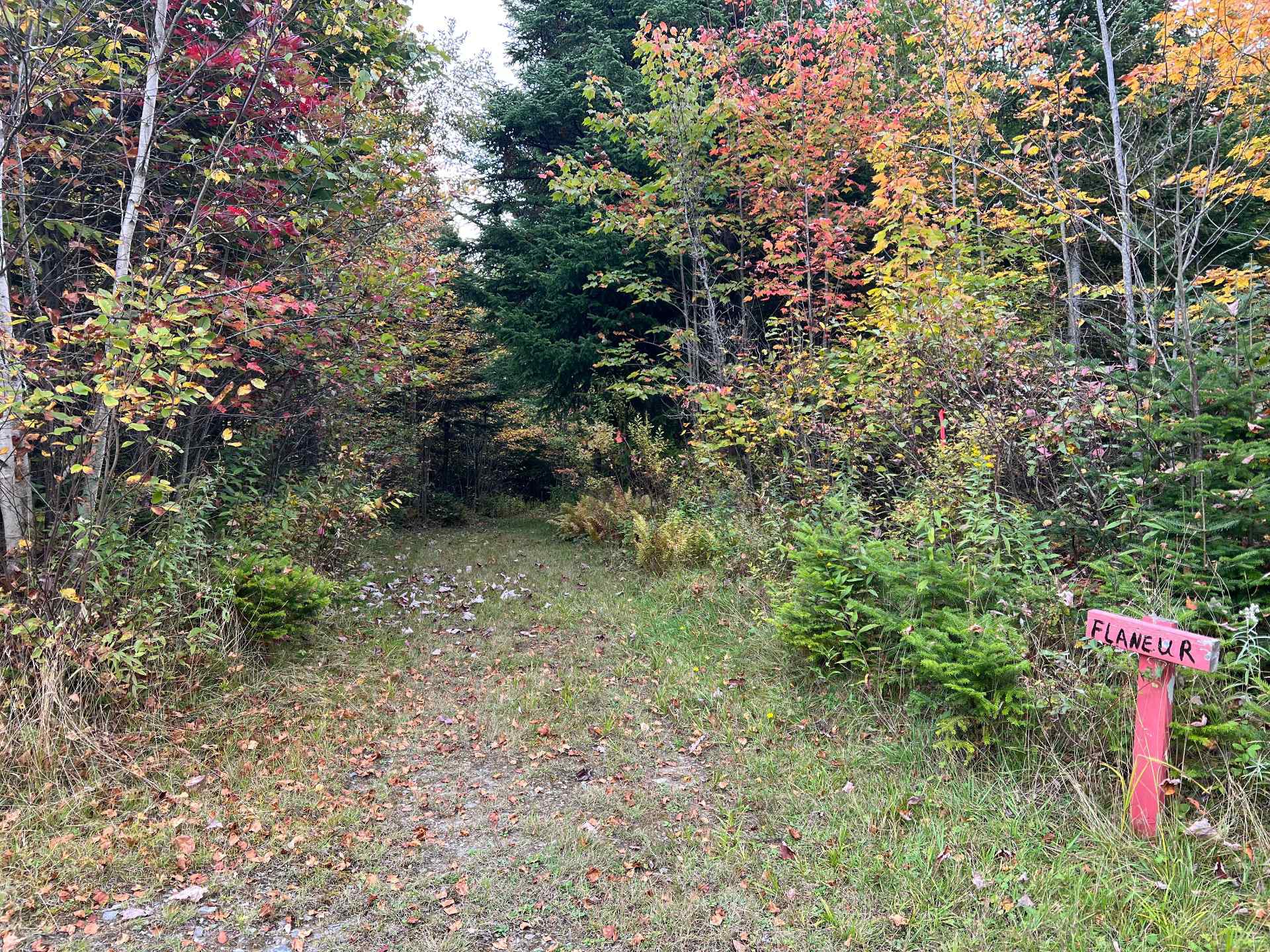 Terre à bois