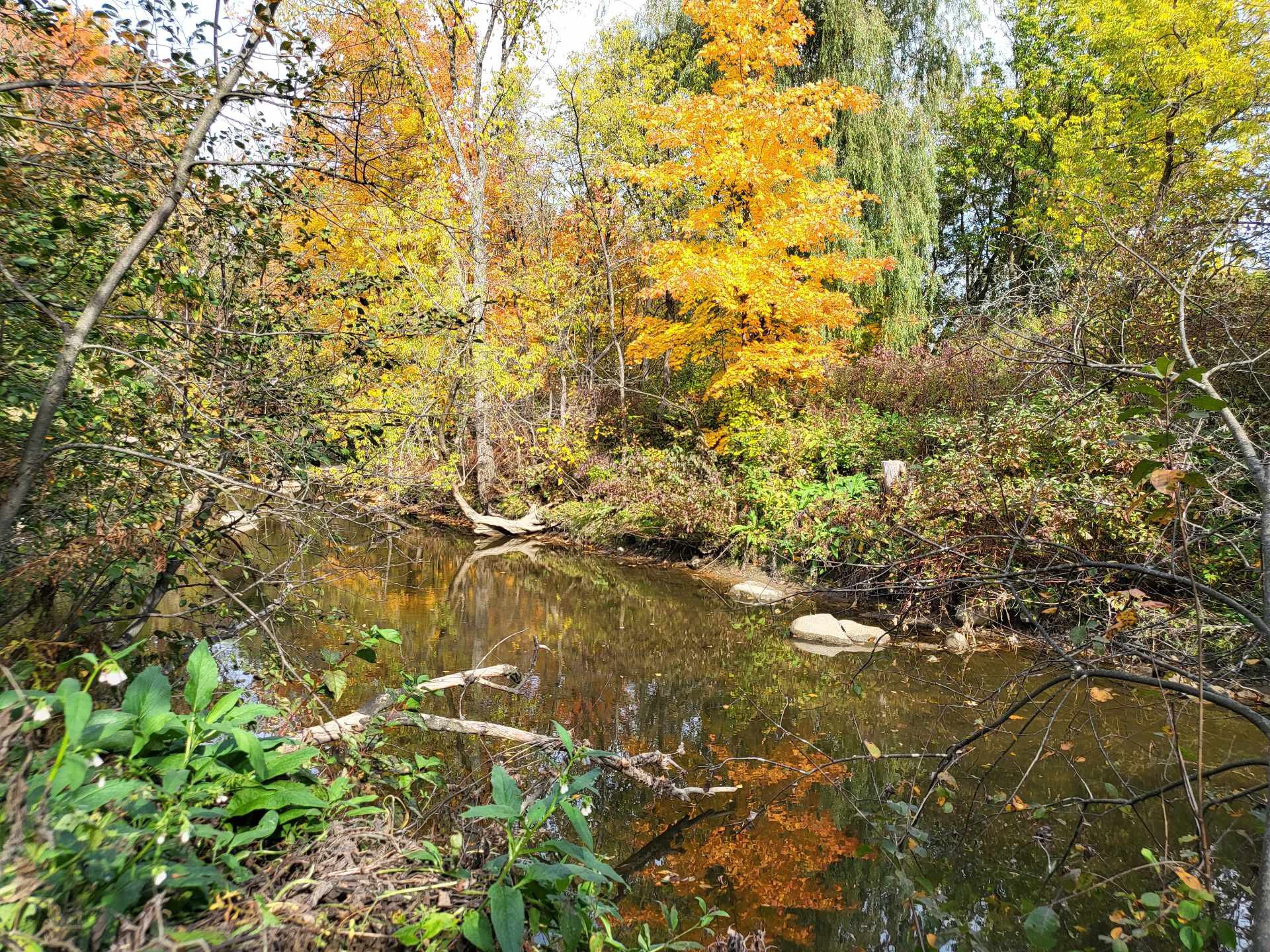 Accès au plan d'eau