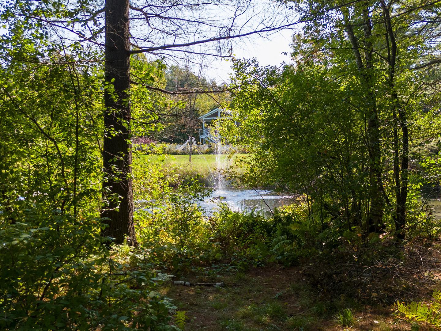 Vue sur l'eau