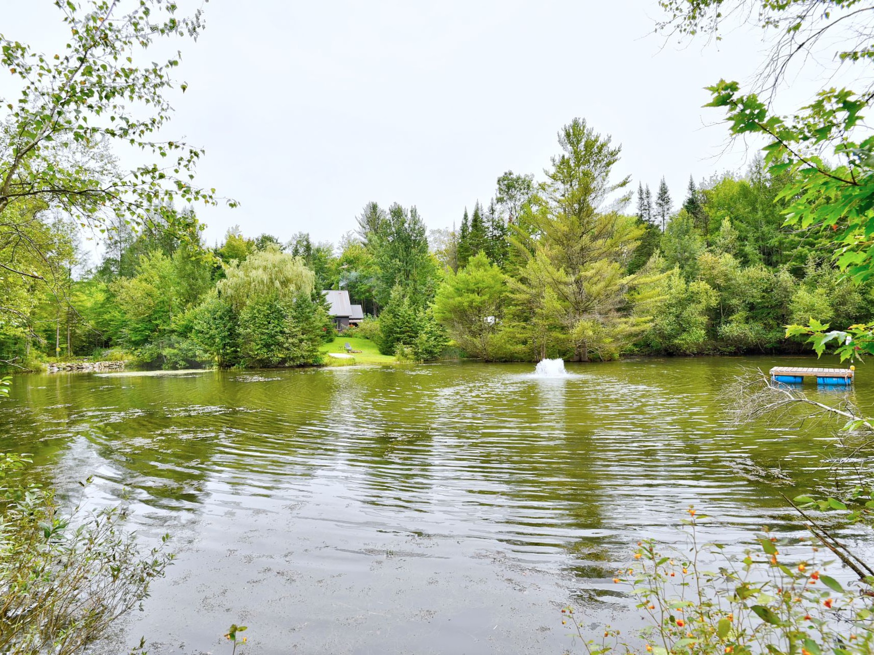 Vue sur l'eau