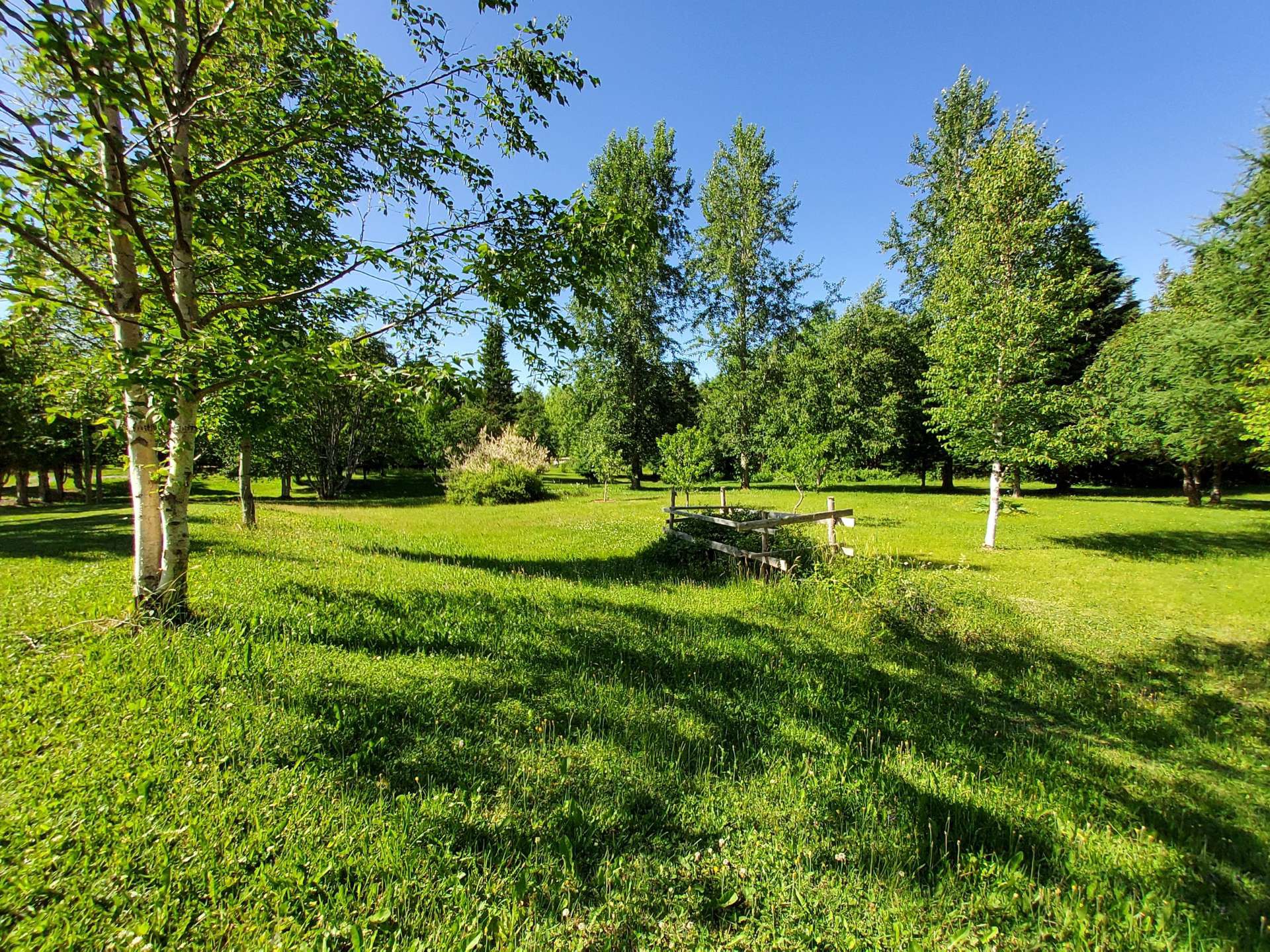 Terre à bois