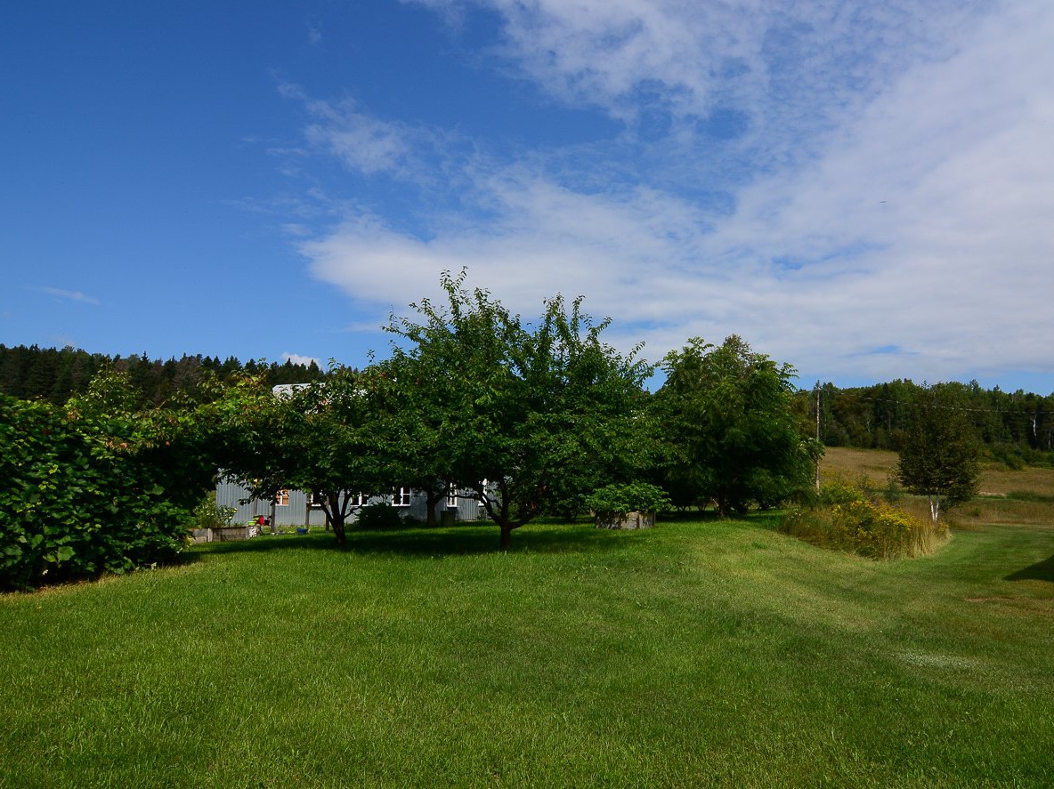 Terrain