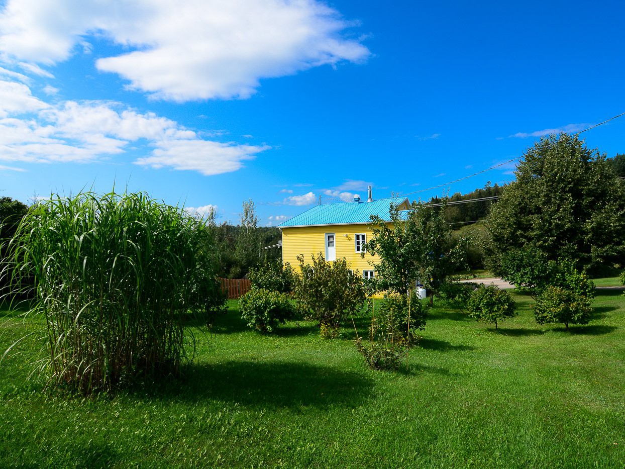 Terrain arrière