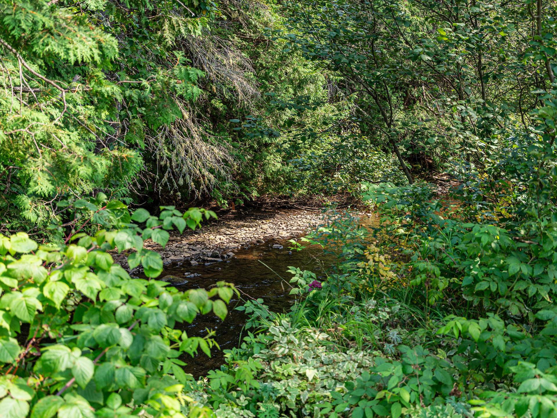 Accès au plan d'eau