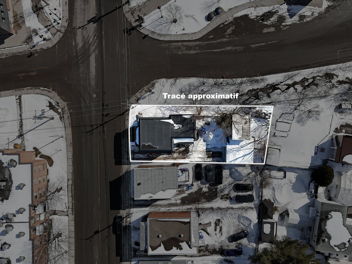 Terre/Terrain